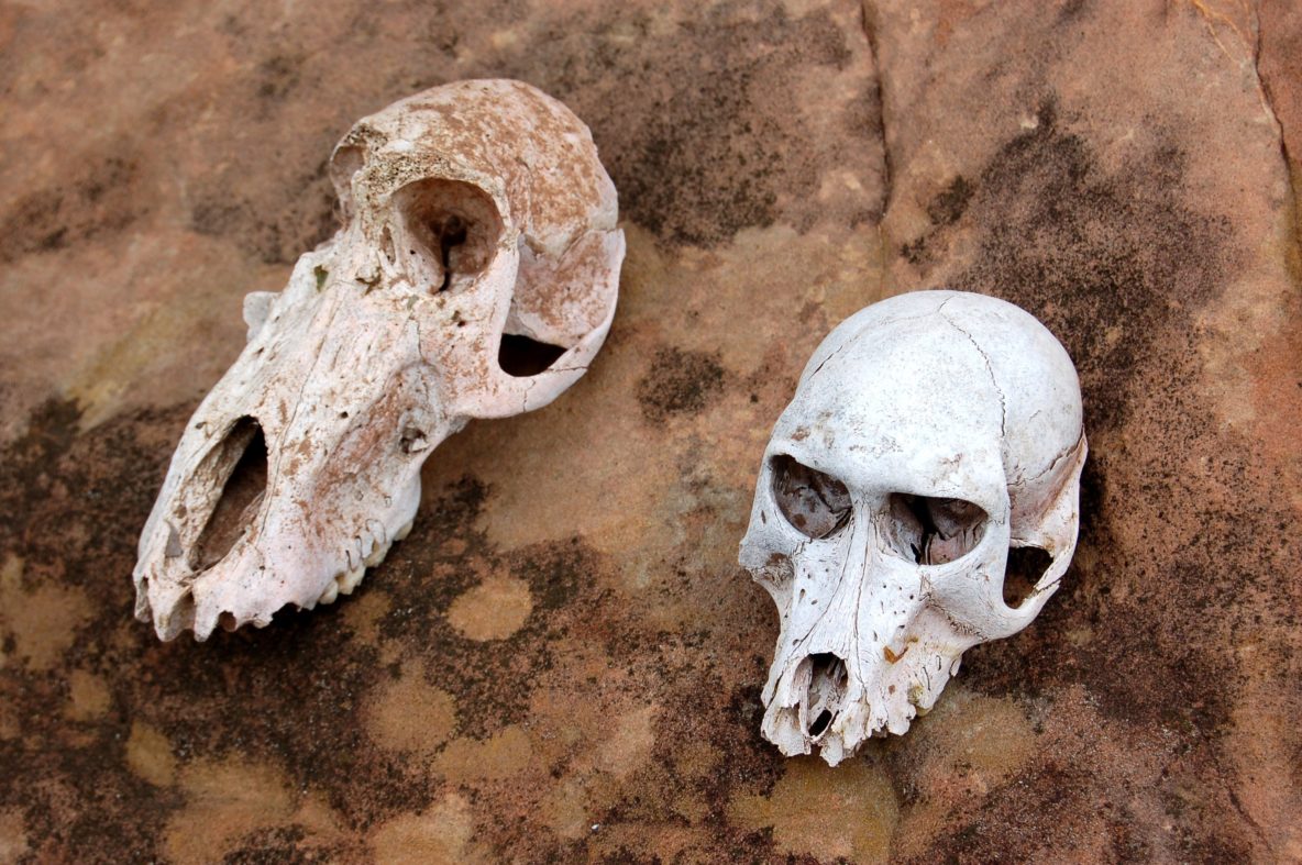 these are some of the pieces of early man jewelry