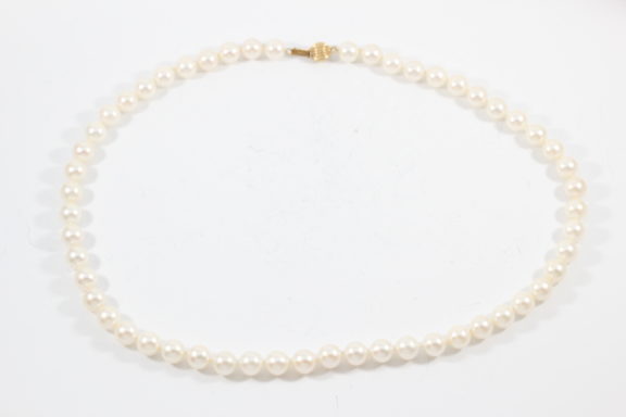 Pearl strand photographed on a white background