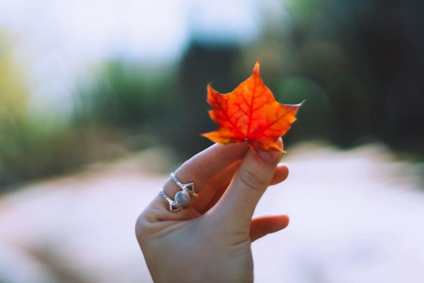 fall-jewelry