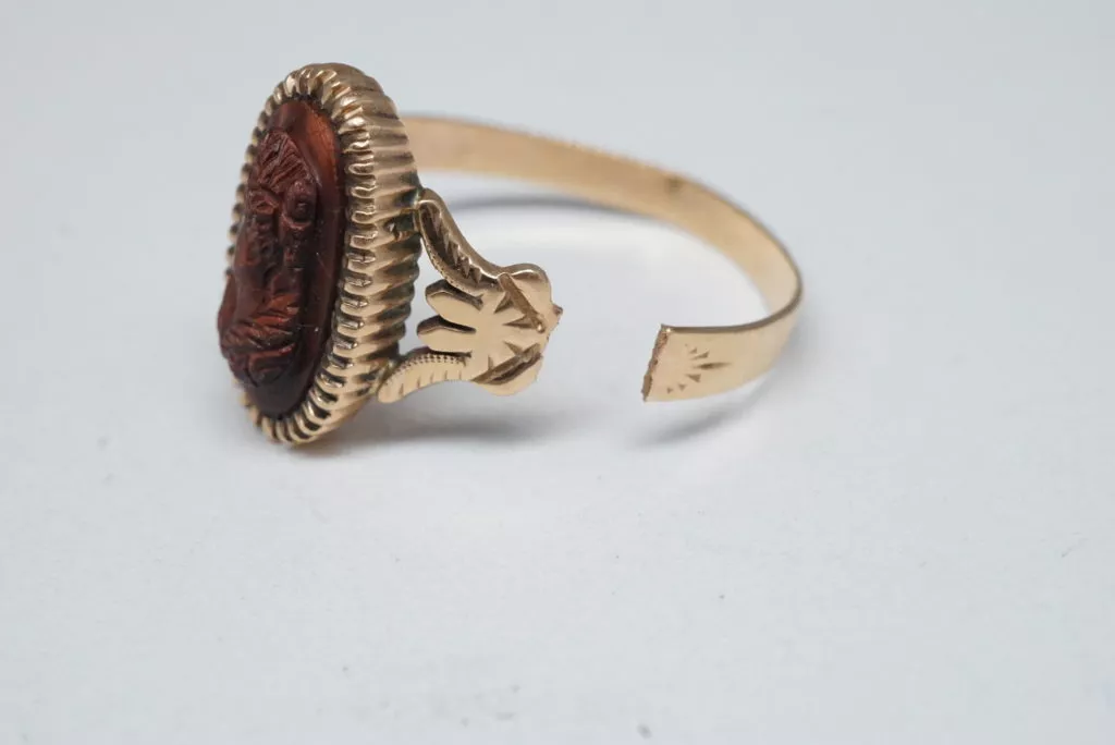 ring shank protect
